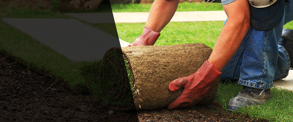 Lutcher Landscapers